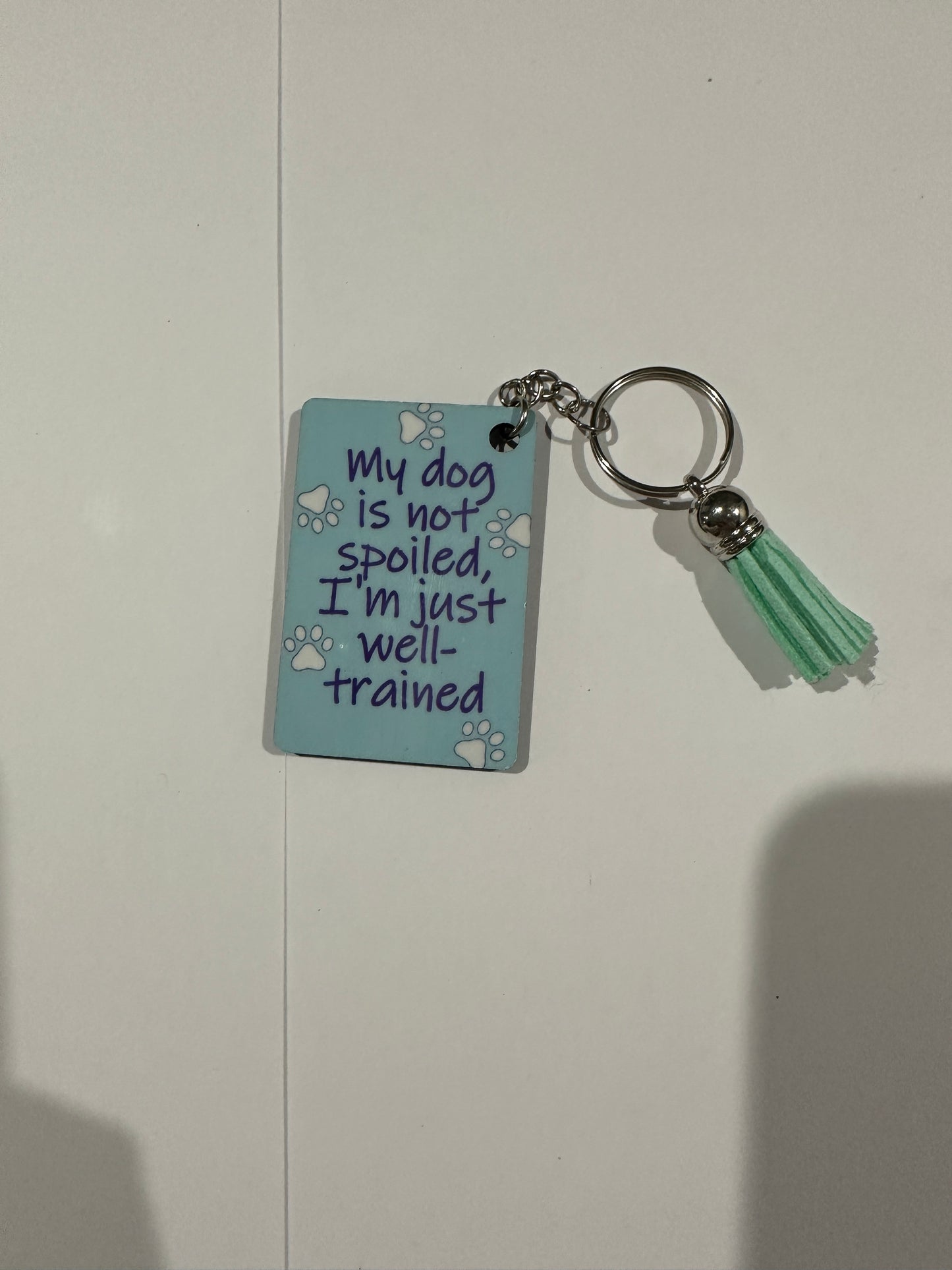 Keyring - My Dog is not Spoiled